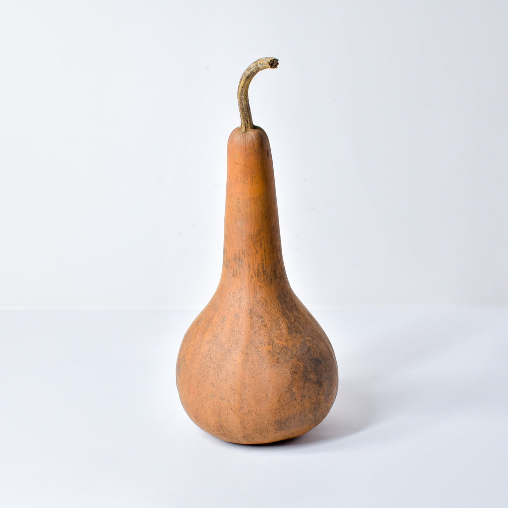 Calabash Shaker Gourd Asante Nigeria