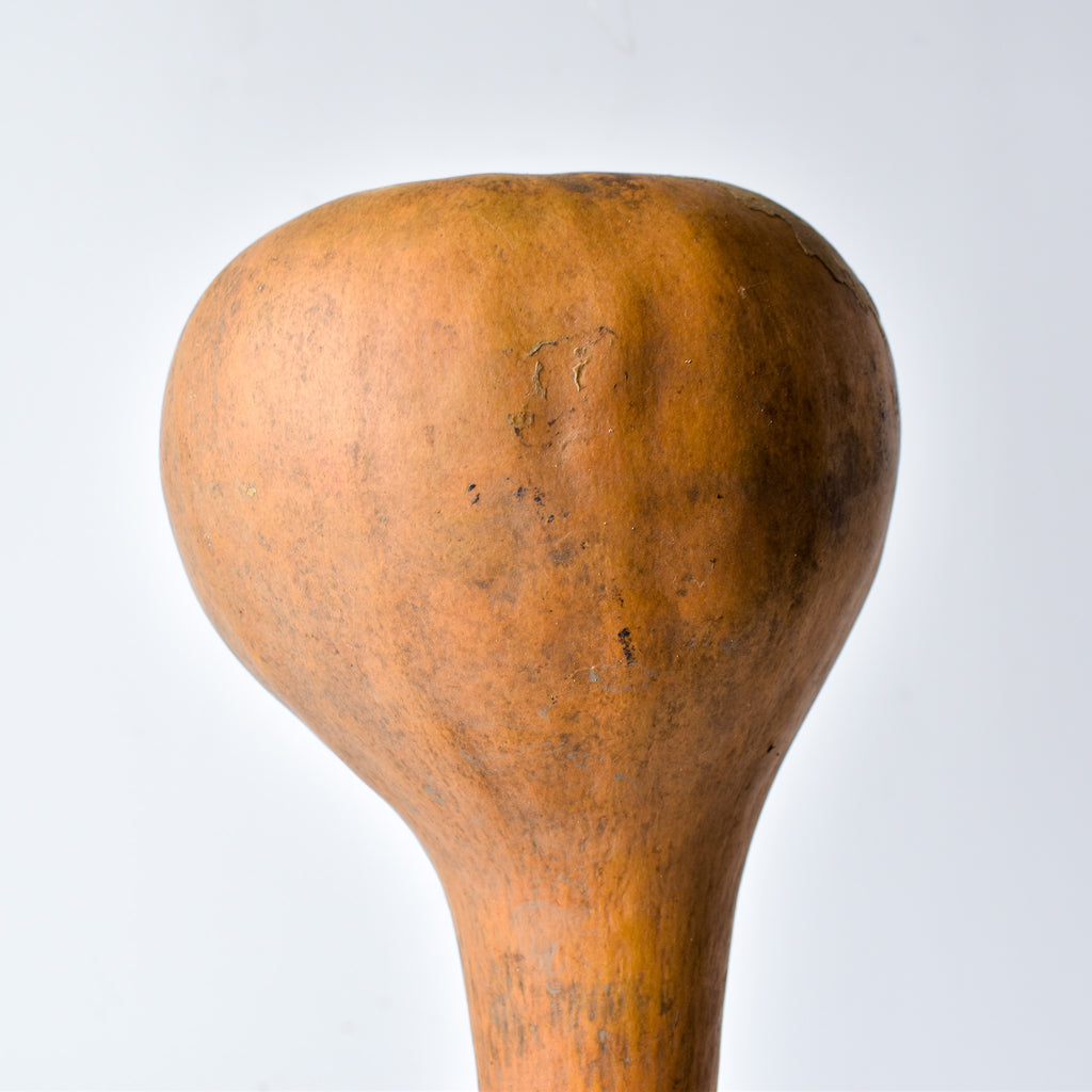 Calabash Shaker Gourd Asante Nigeria