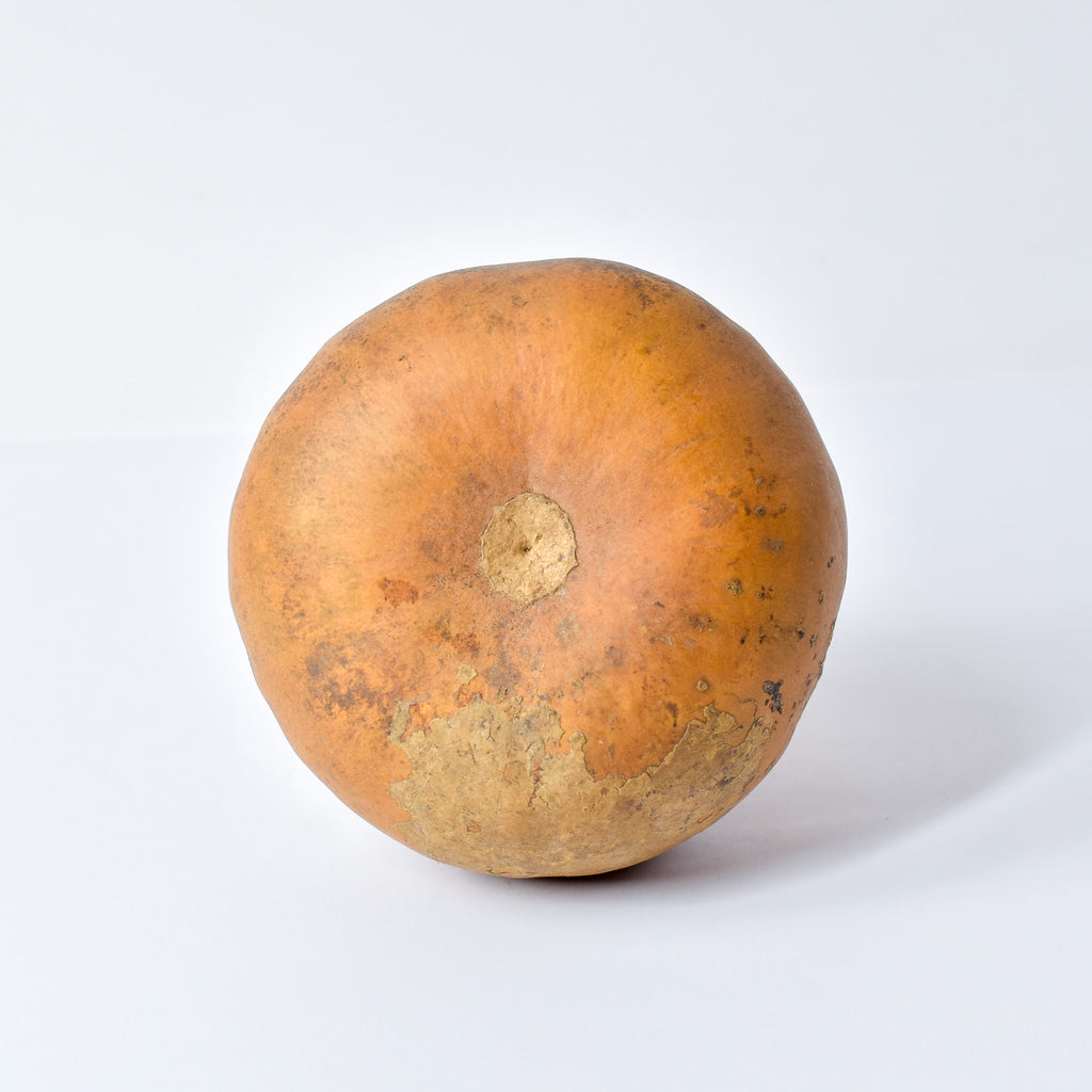 Calabash Shaker Gourd Asante Nigeria