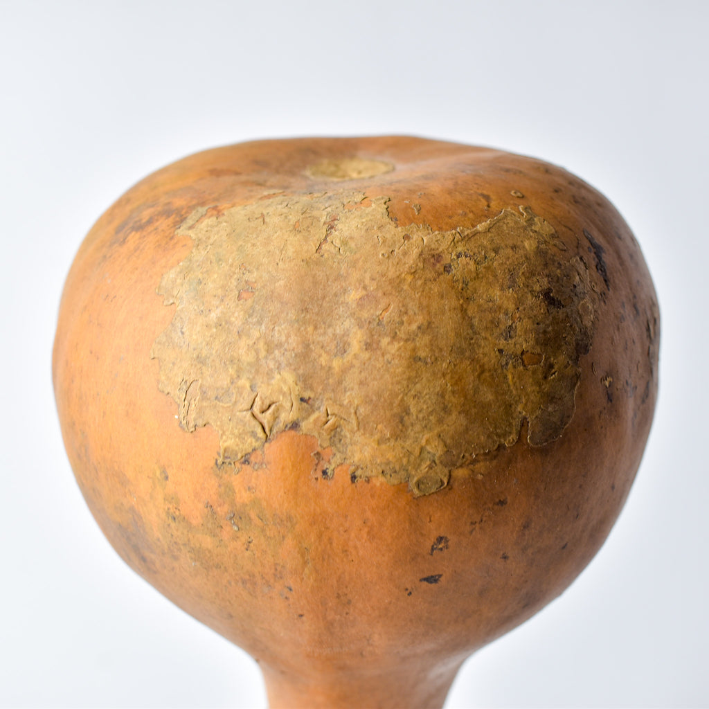 Calabash Shaker Gourd Asante Nigeria