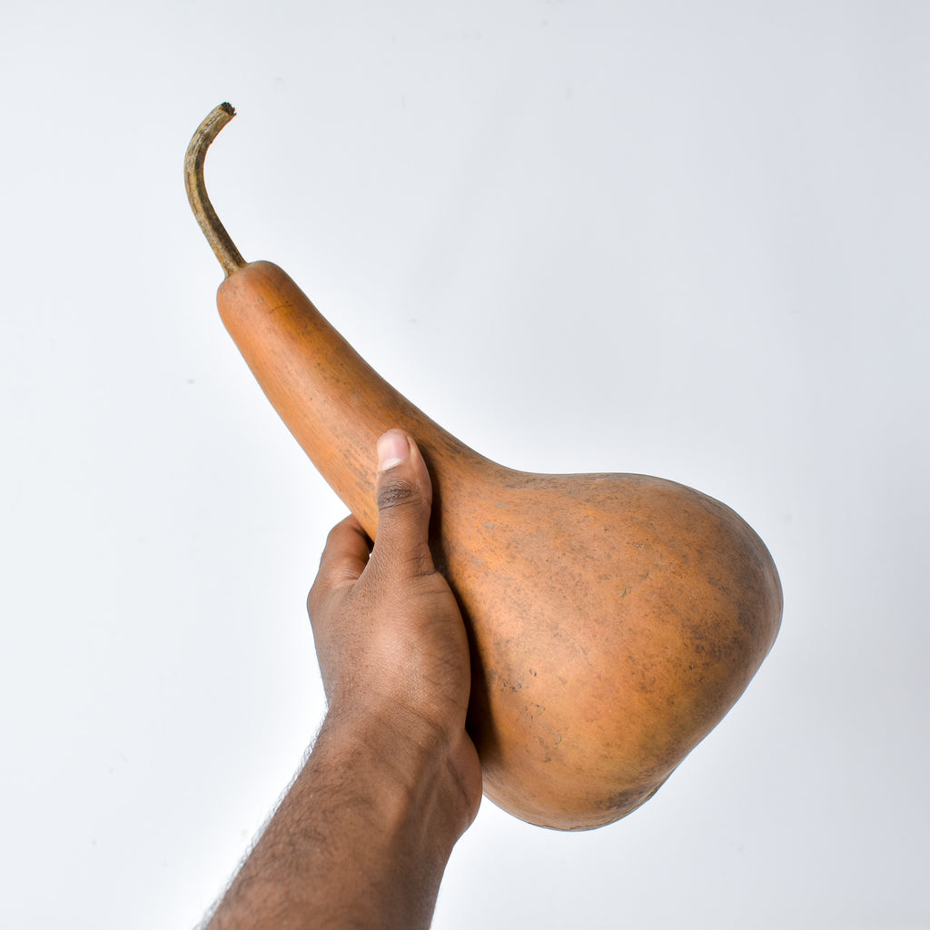Calabash Shaker Gourd Asante Nigeria