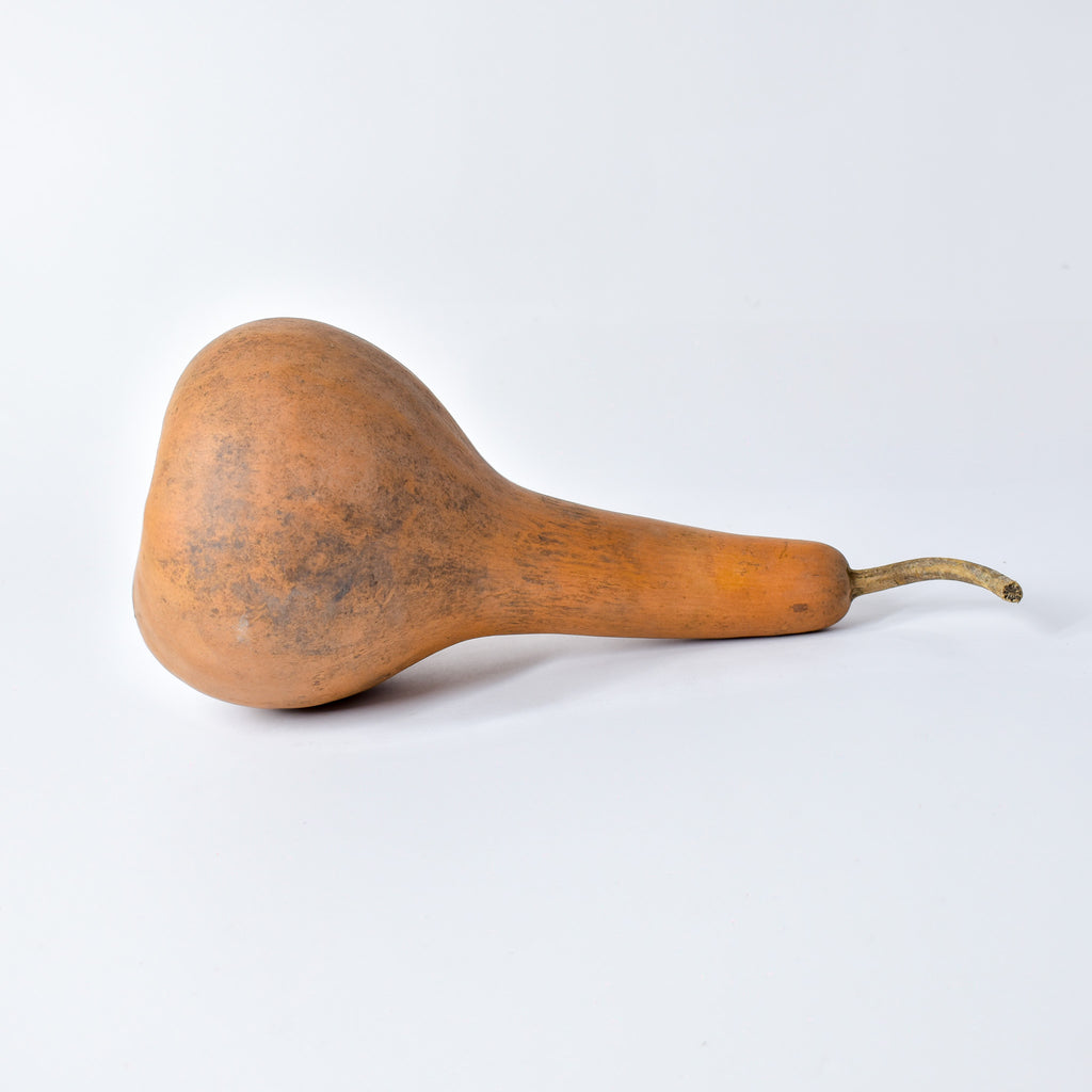 Calabash Shaker Gourd Asante Nigeria