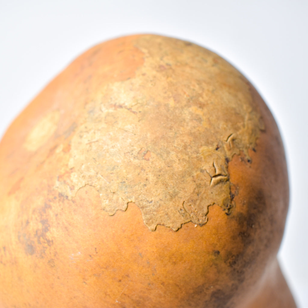 Calabash Shaker Gourd Asante Nigeria