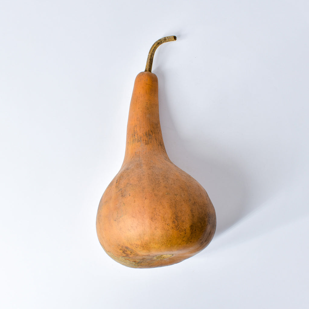 Calabash Shaker Gourd Asante Nigeria