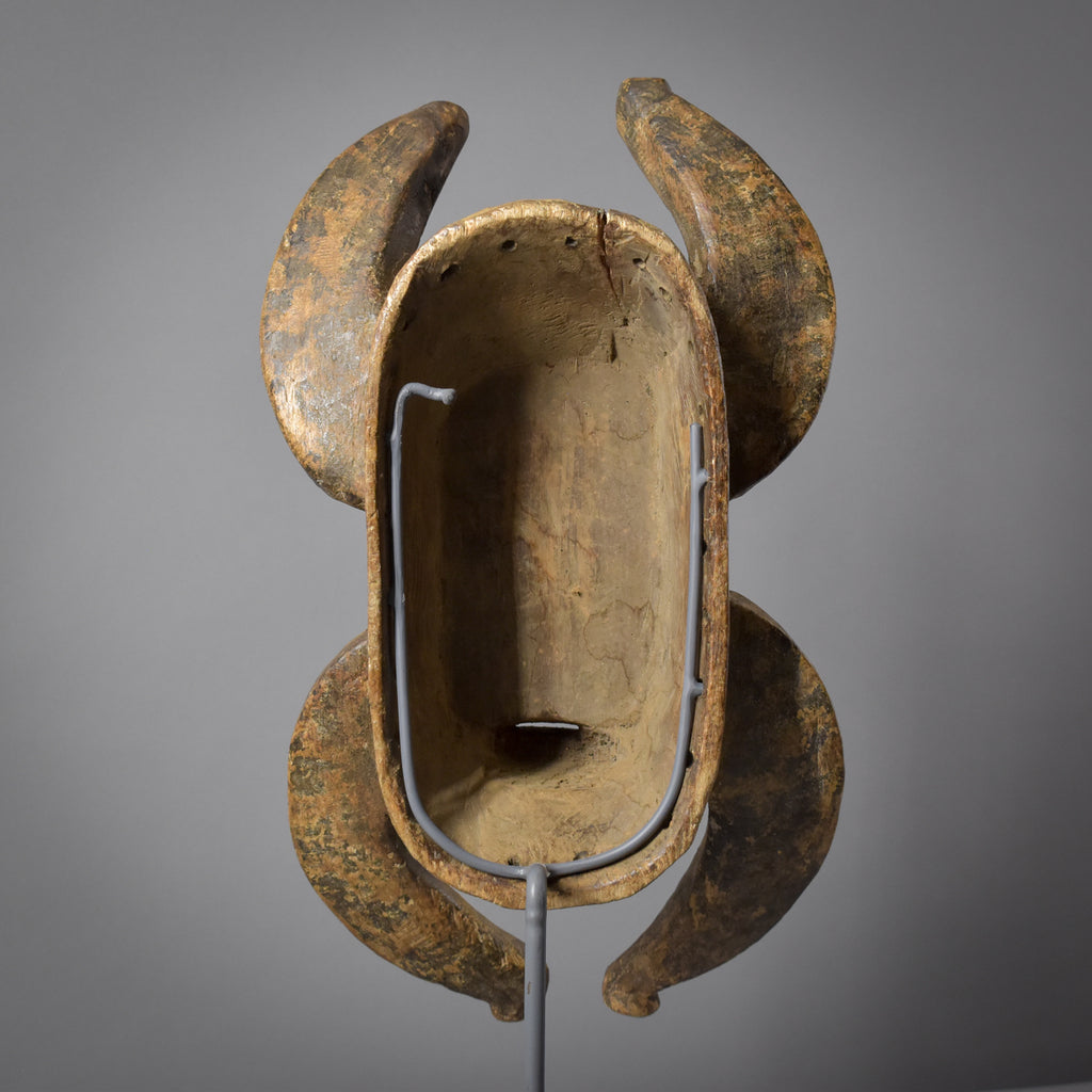 Grebo Mask with Horns on Custom Stand Côte d'Ivoire