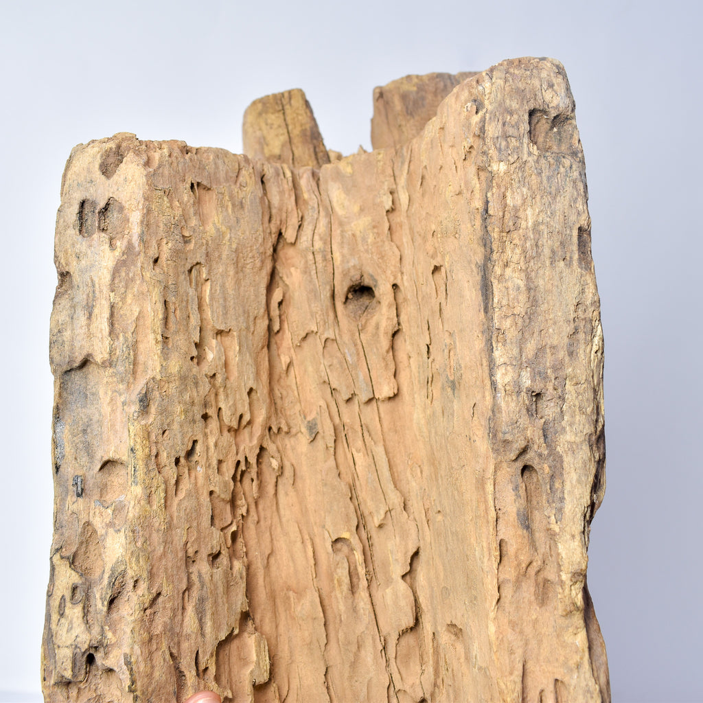 Senufo Wood Stool Burkina Faso
