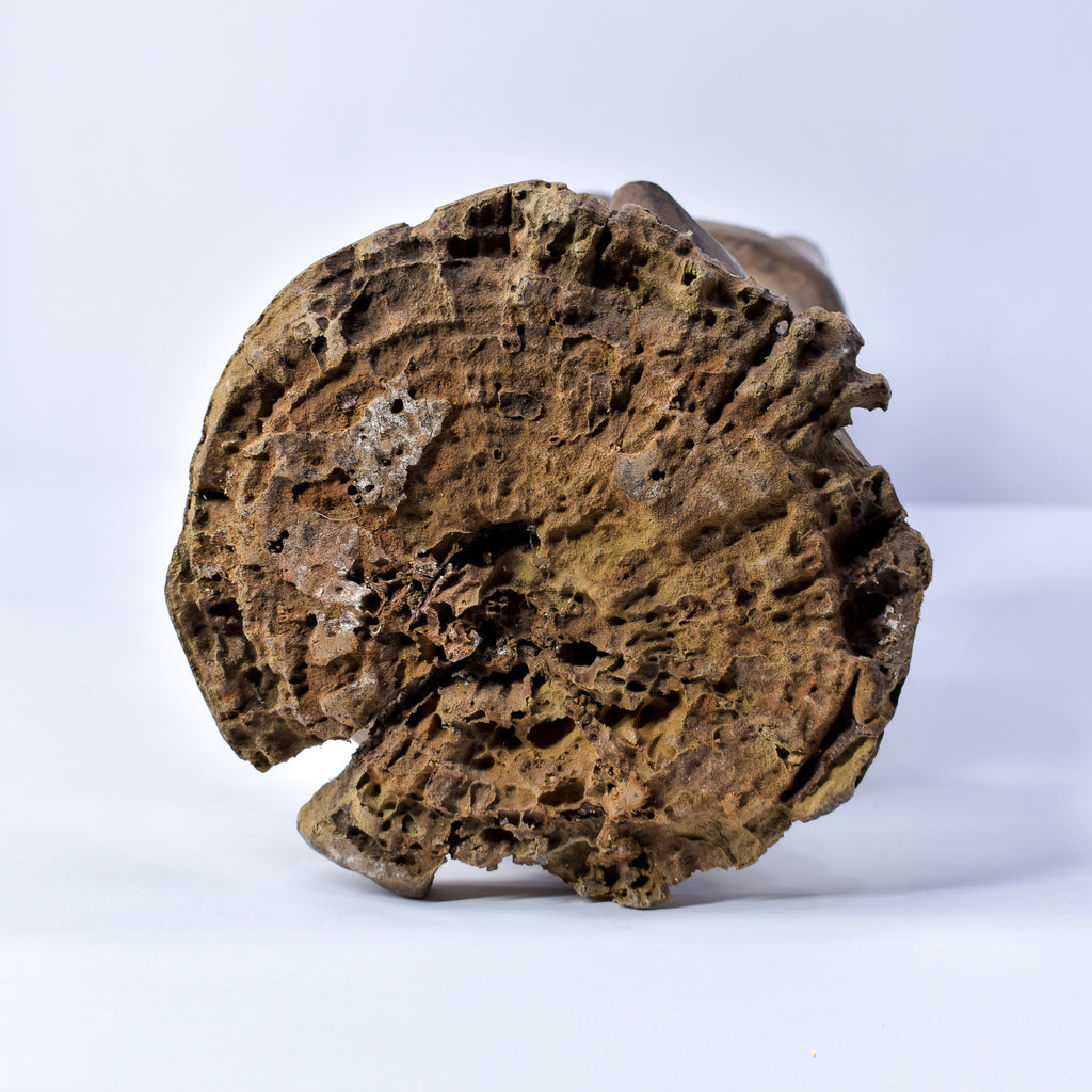 Tabwa Male Figure Congo