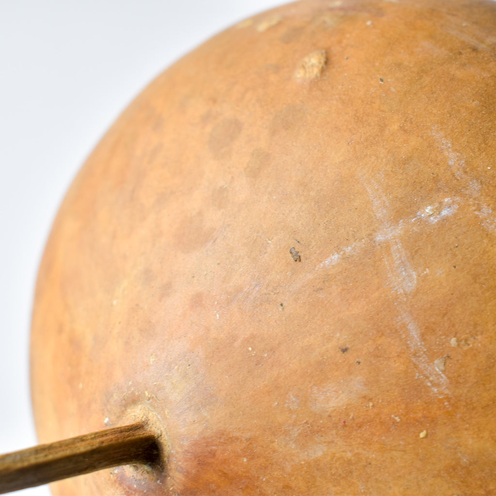Calabash Gourd Nigeria