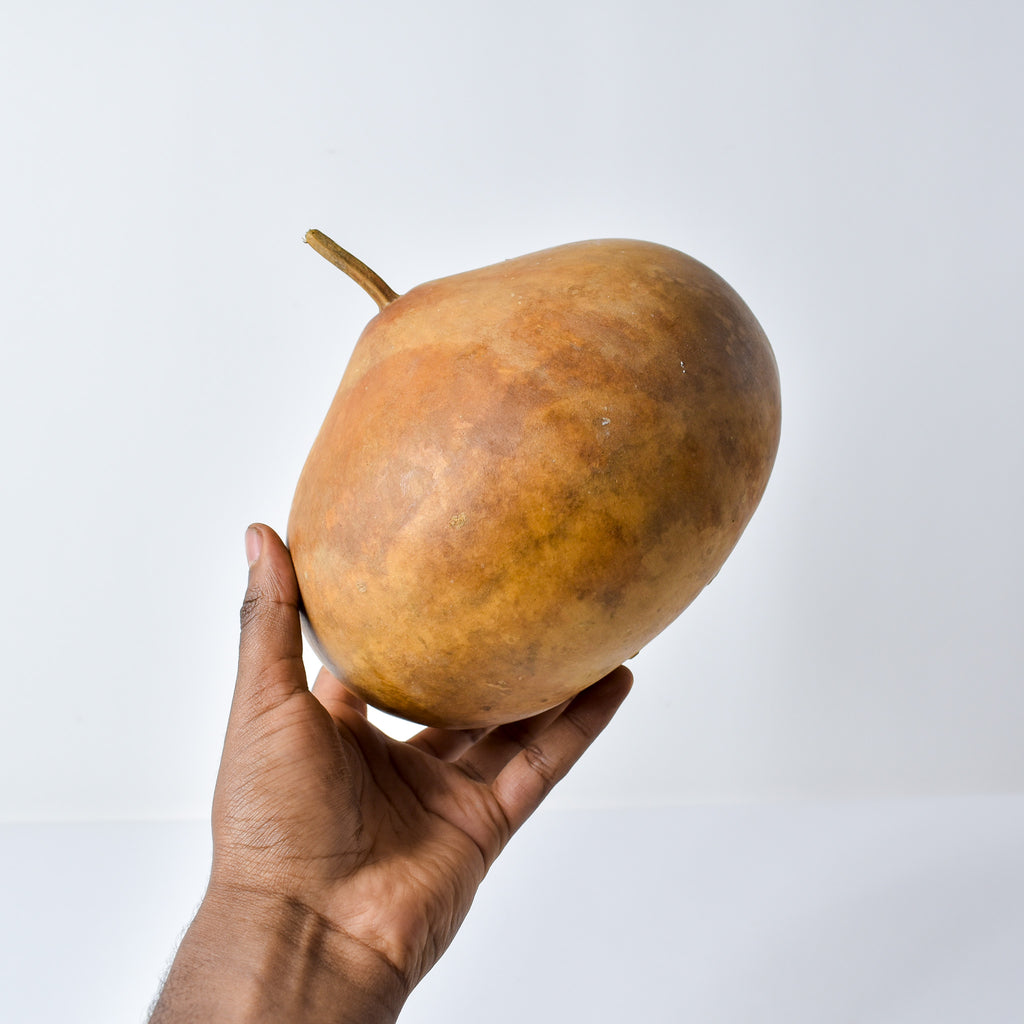 Calabash Gourd Nigeria