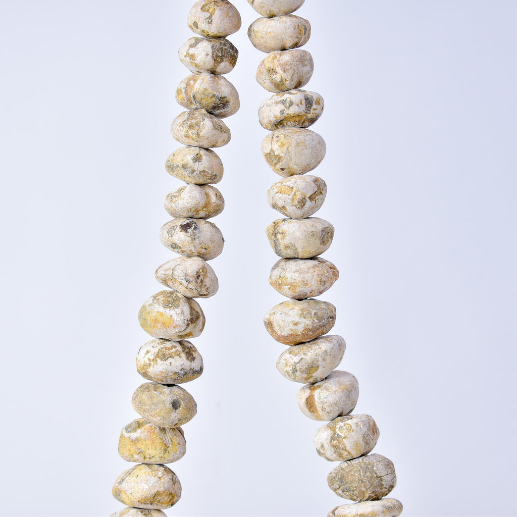 Fossilized Sand Dollar Trade Beads