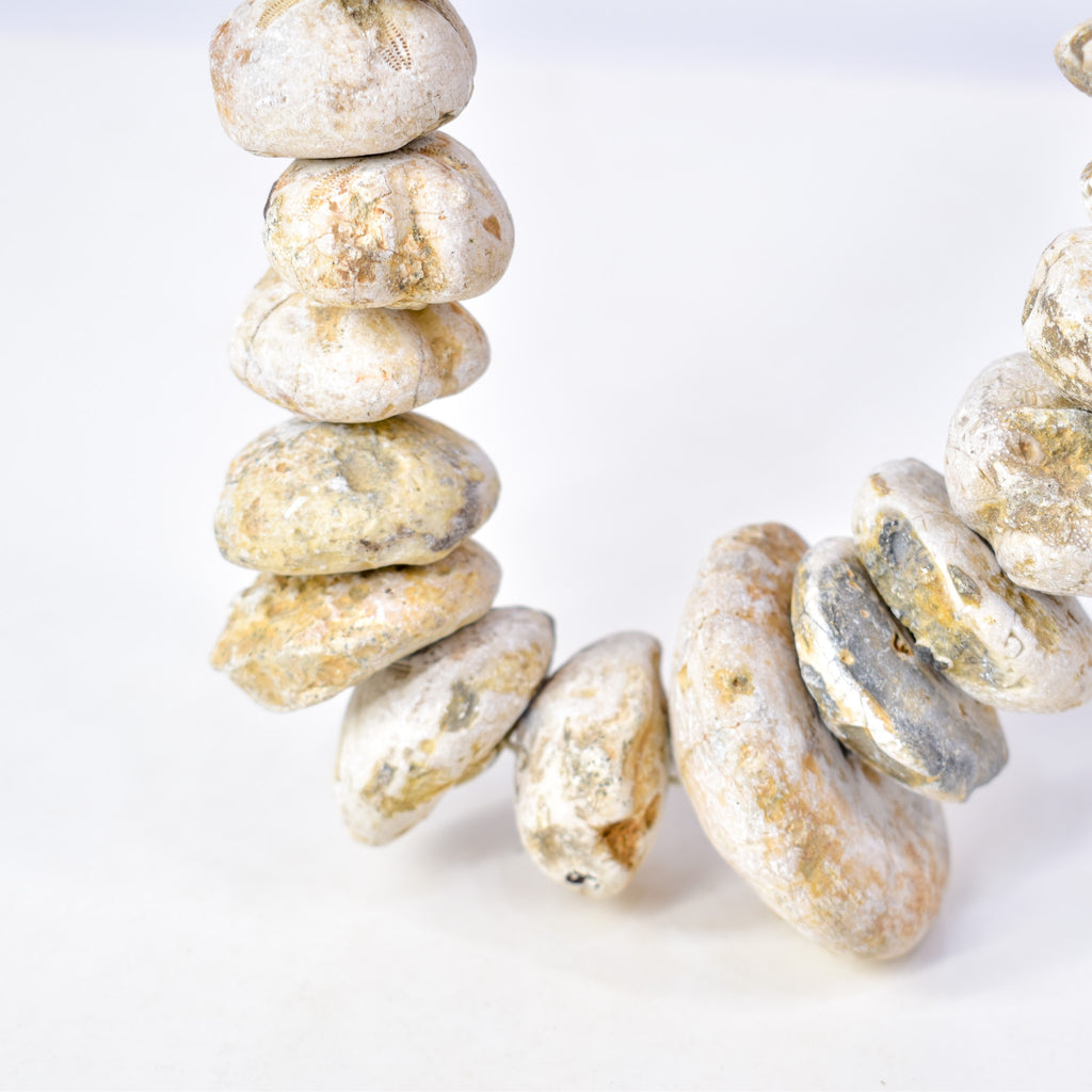 Fossilized Sand Dollar Trade Beads