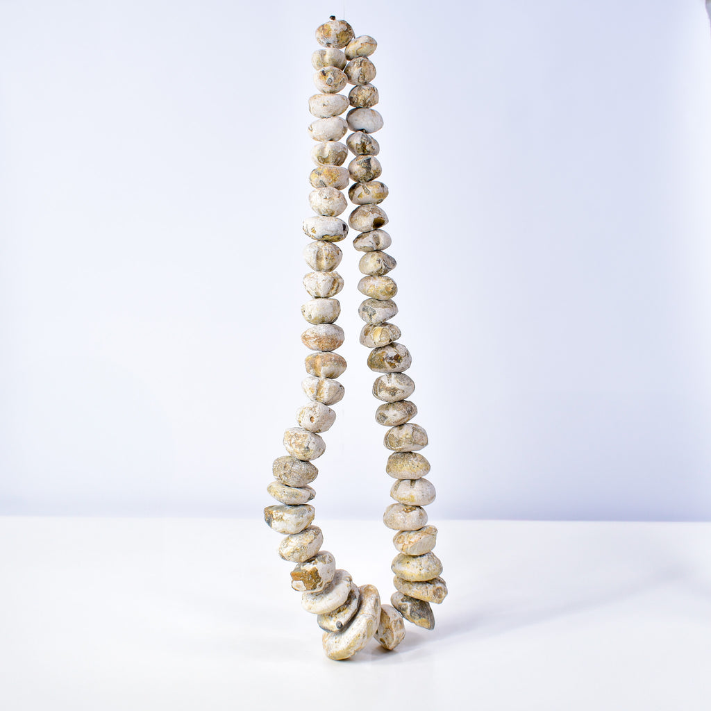 Fossilized Sand Dollar Trade Beads