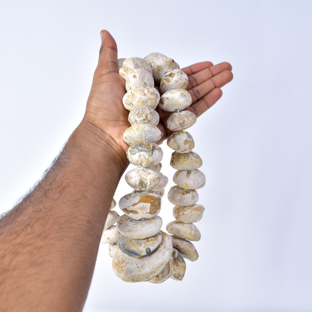 Fossilized Sand Dollar Trade Beads