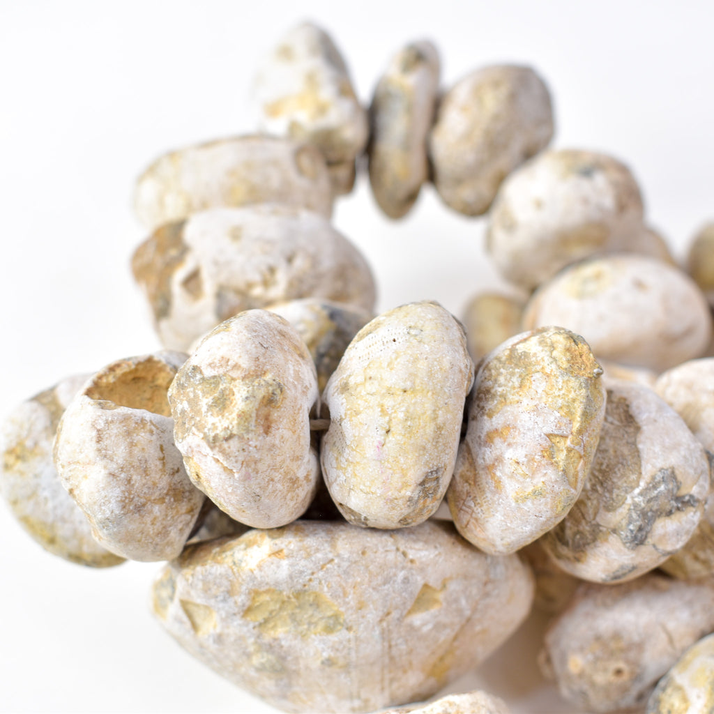 Fossilized Sand Dollar Trade Beads