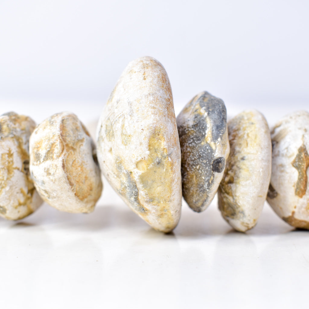 Fossilized Sand Dollar Trade Beads