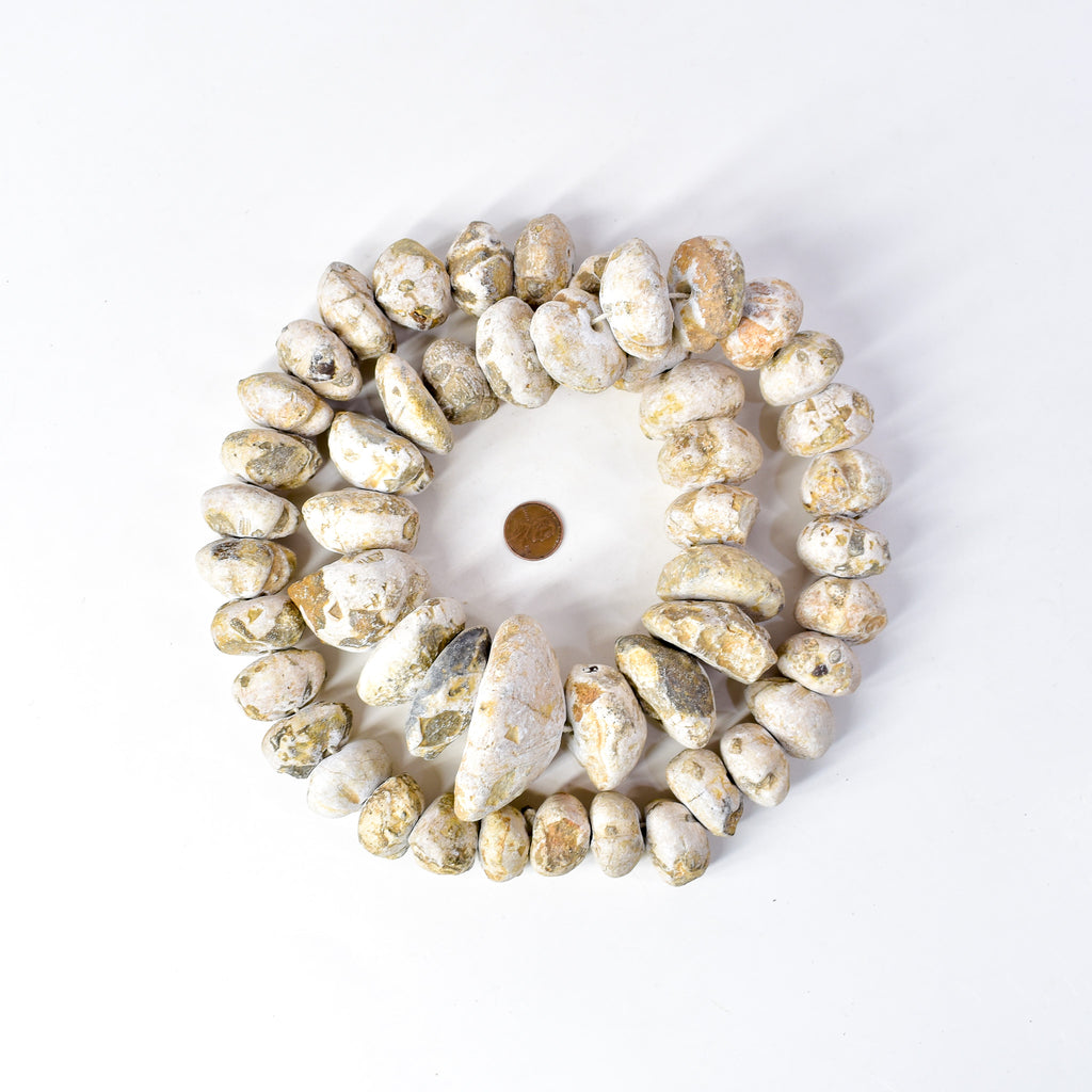 Fossilized Sand Dollar Trade Beads