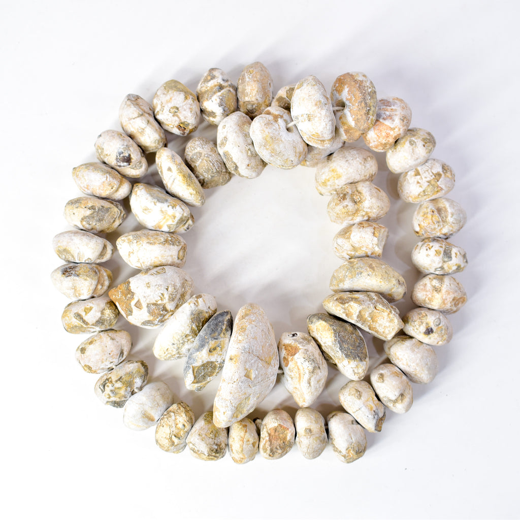 Fossilized Sand Dollar Trade Beads