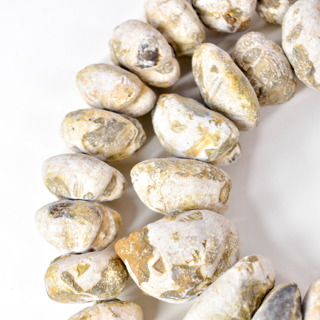 Fossilized Sand Dollar Trade Beads