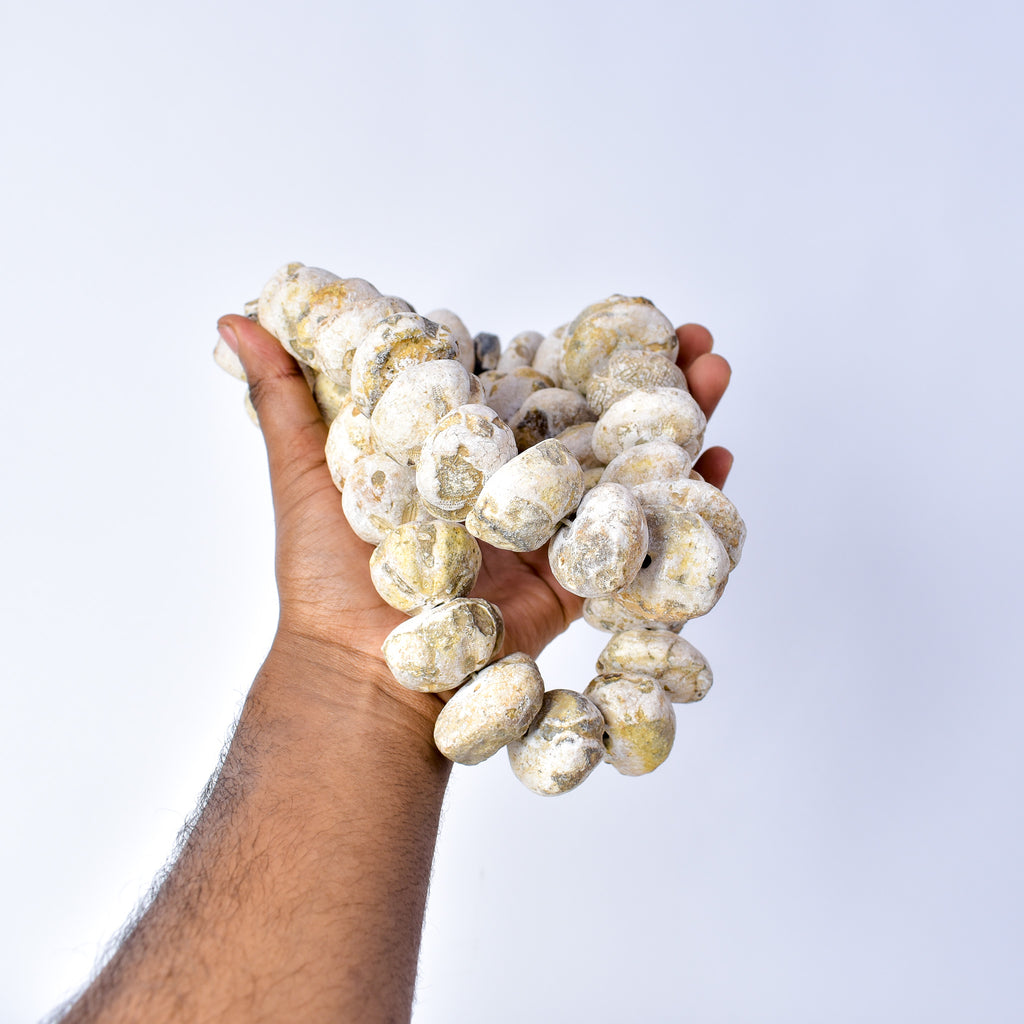 Fossilized Sand Dollar Trade Beads