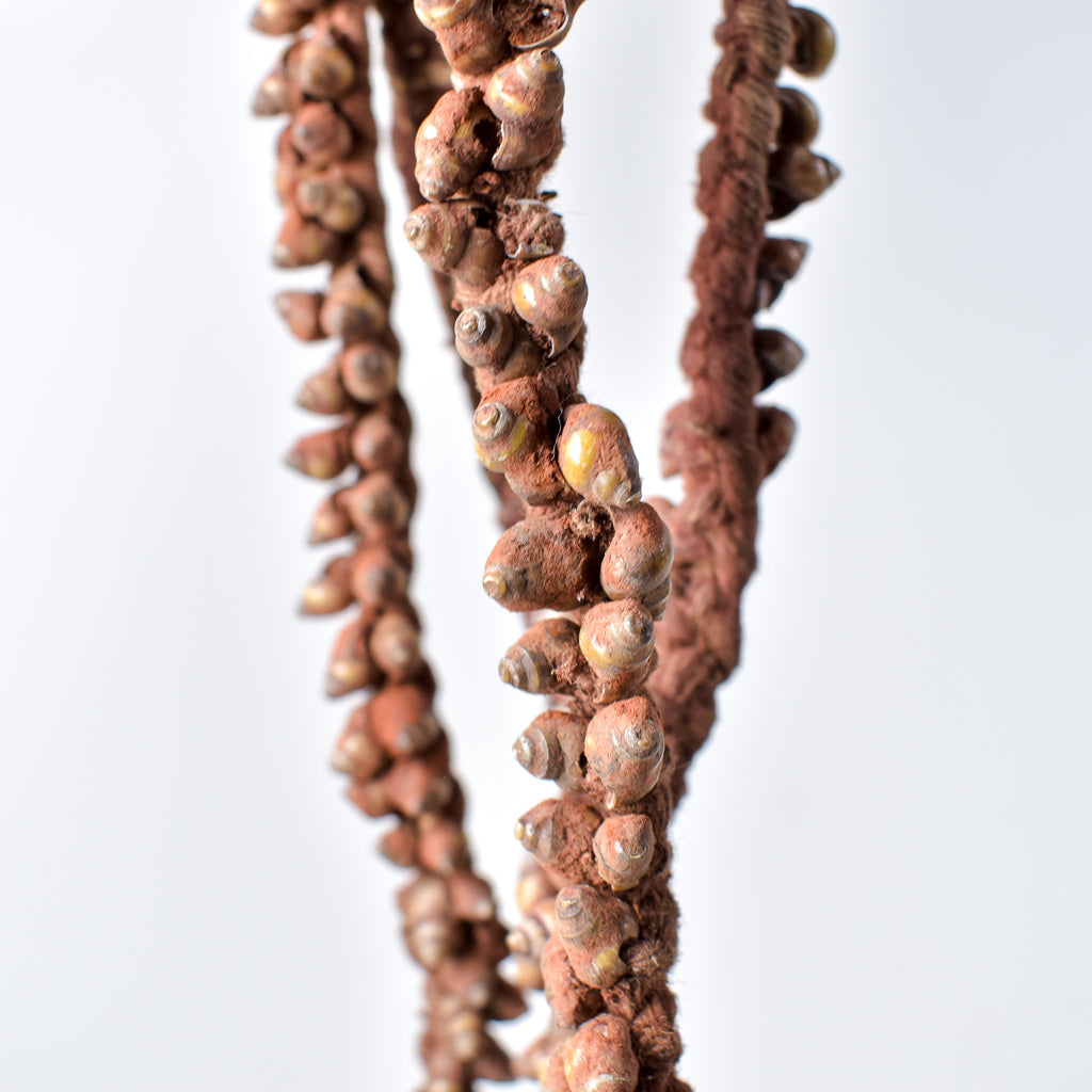 Tivi Shell Necklace Nigeria