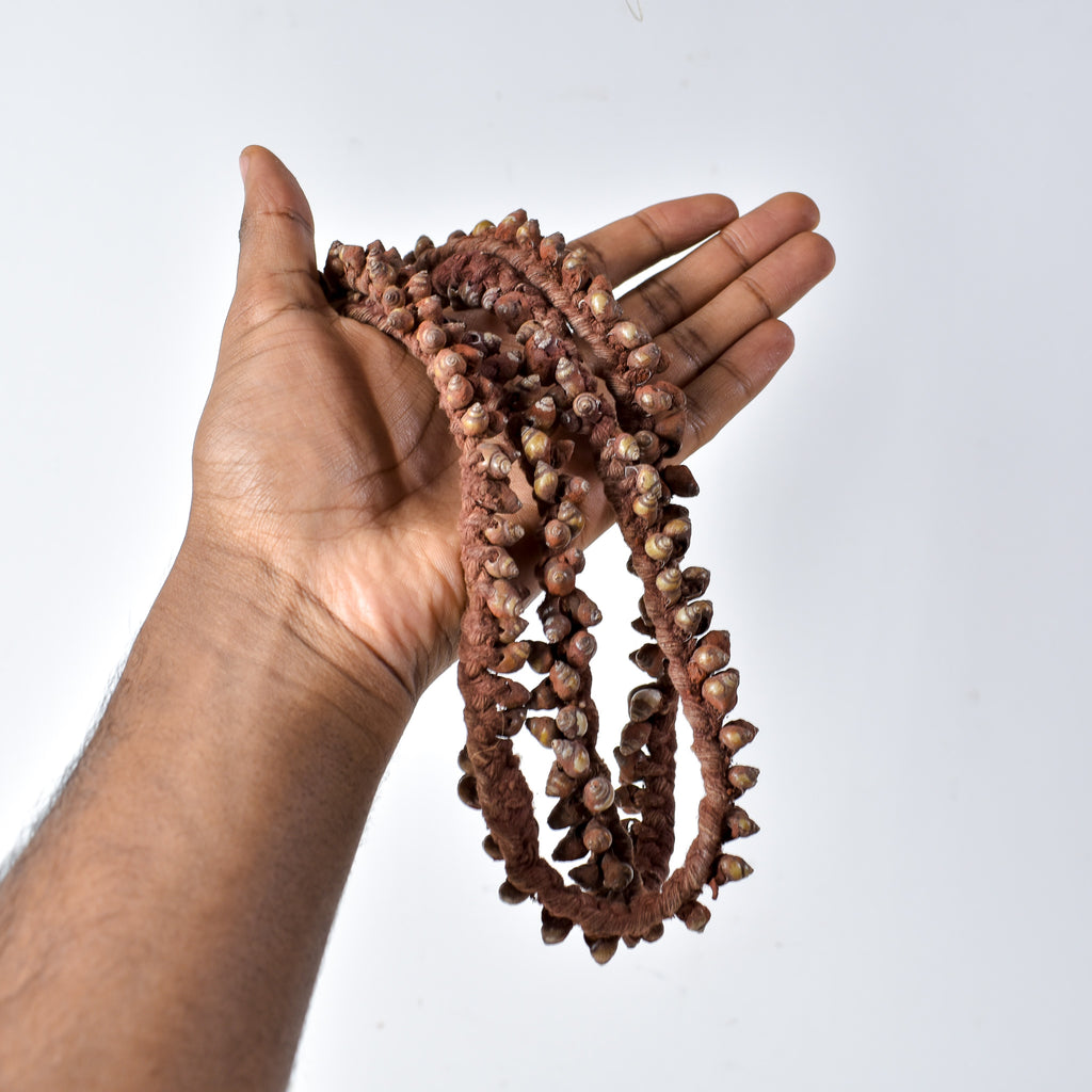 Tivi Shell Necklace Nigeria