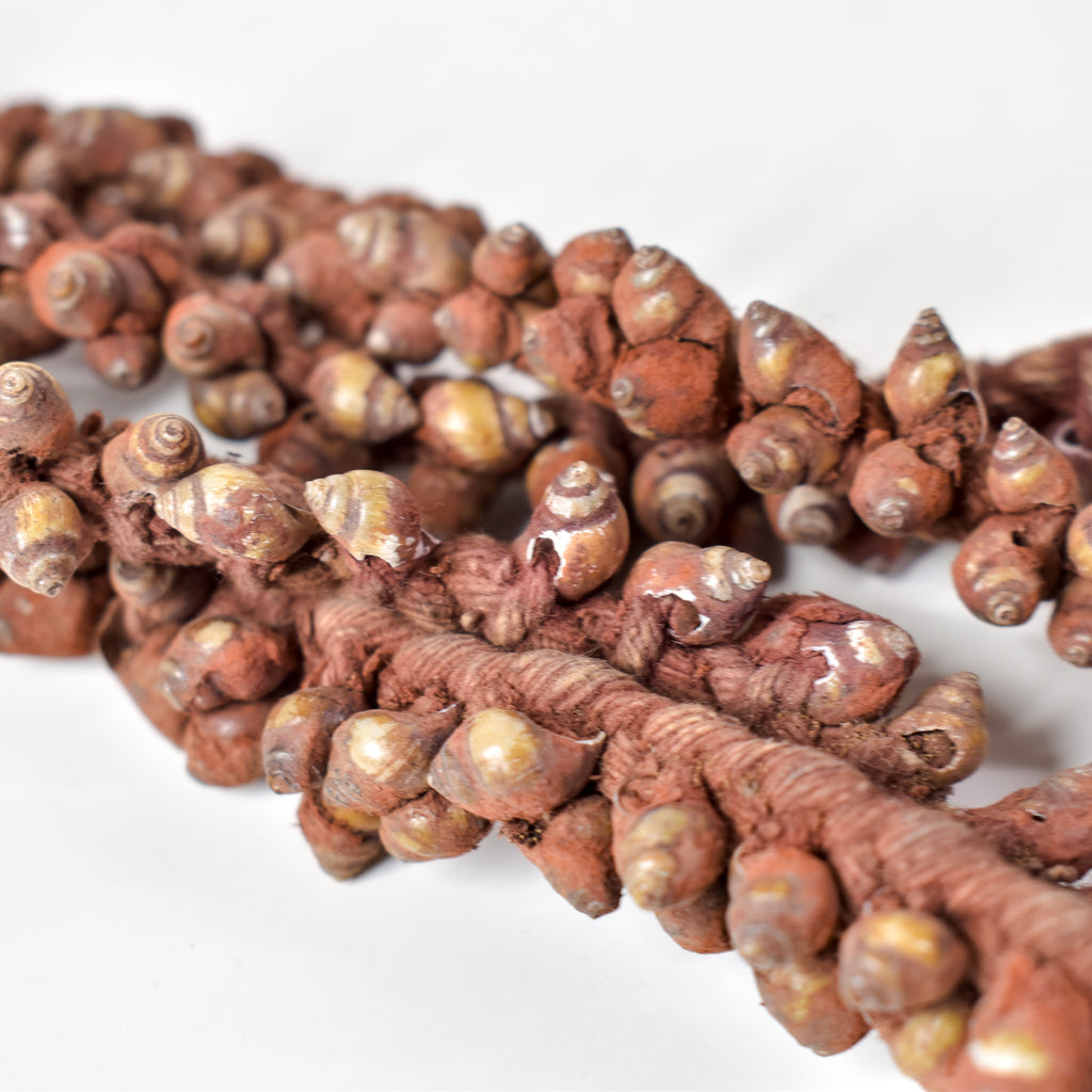 Tivi Shell Necklace Nigeria