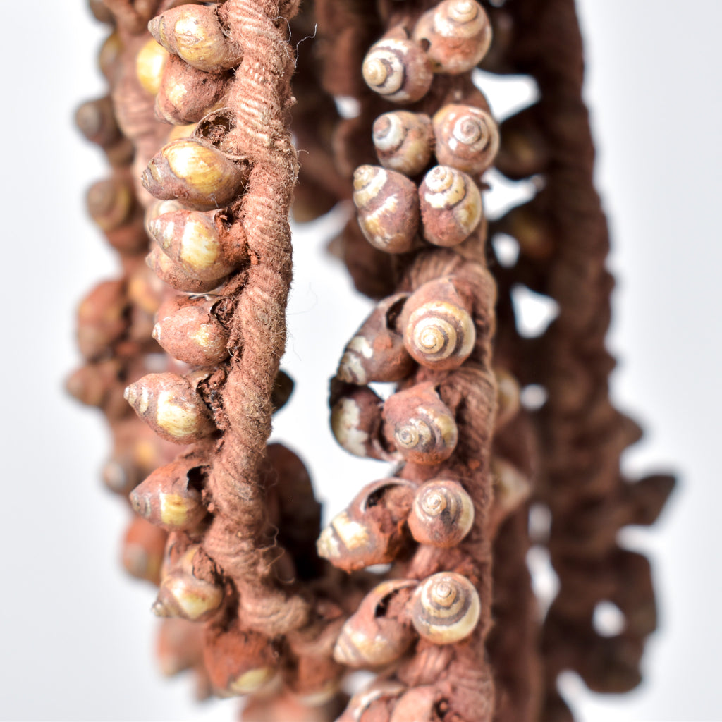 Tivi Shell Necklace Nigeria