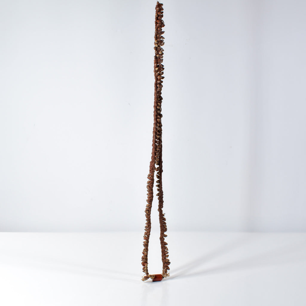 Tivi Shell Necklace Nigeria
