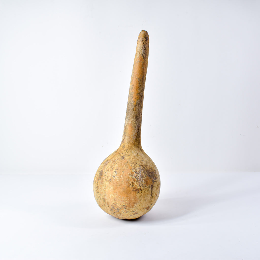 Calabash Shaker Gourd Asante Nigeria