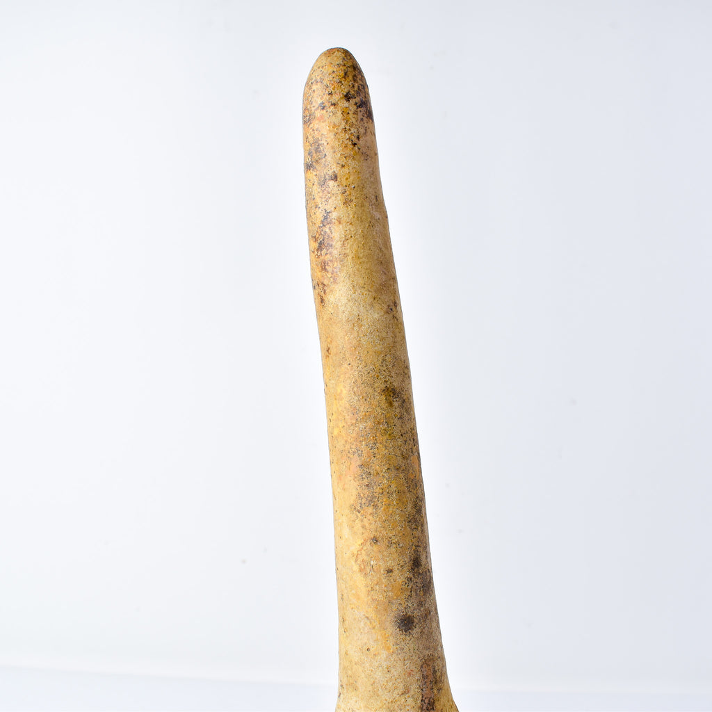 Calabash Shaker Gourd Asante Nigeria