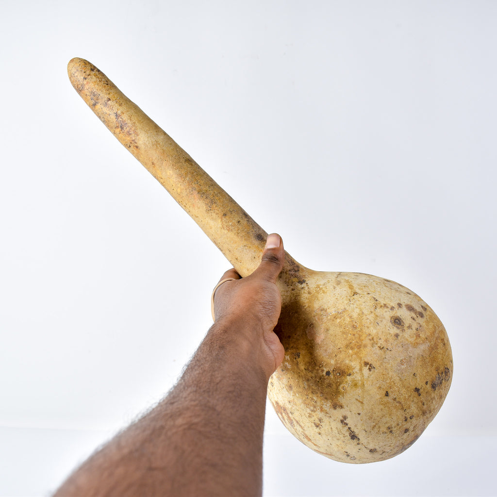 Calabash Shaker Gourd Asante Nigeria