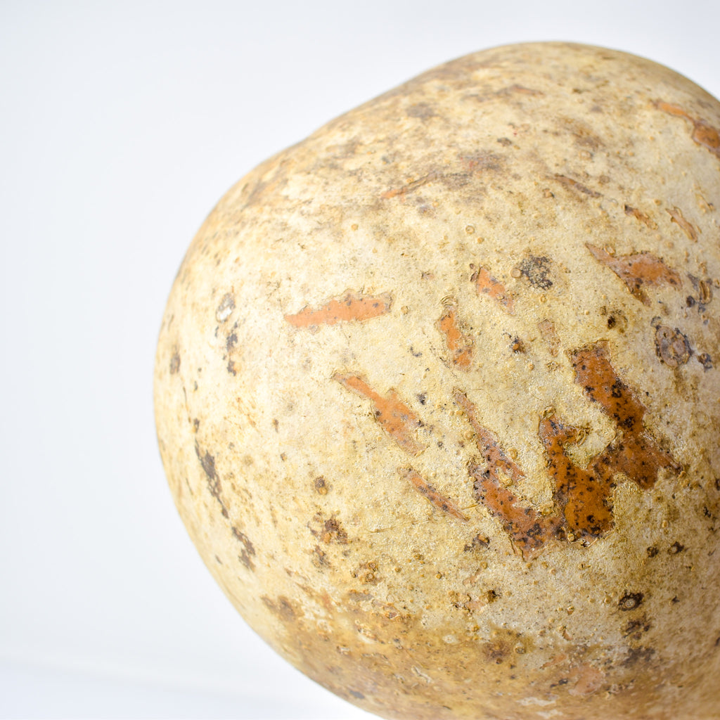 Calabash Shaker Gourd Asante Nigeria