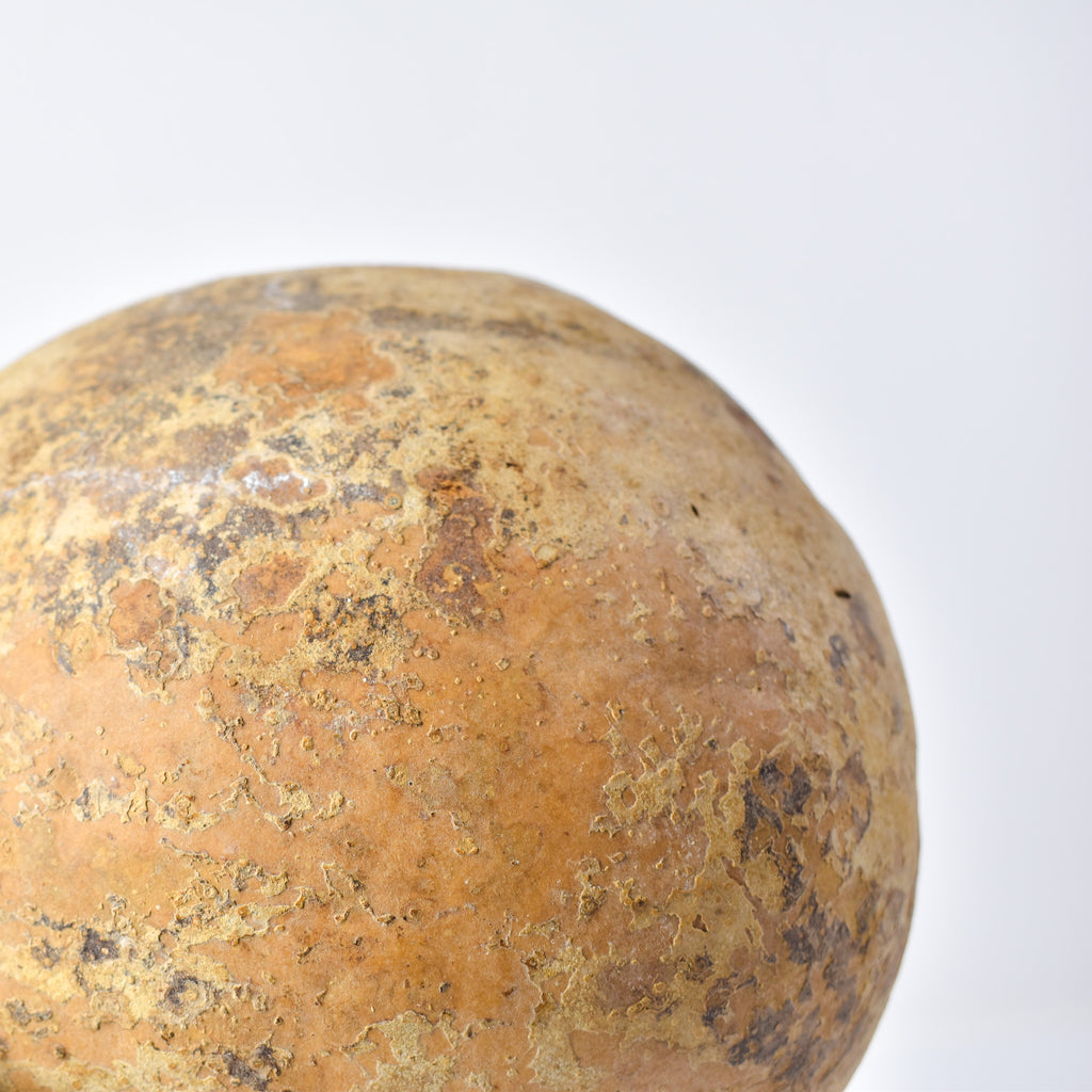Calabash Shaker Gourd Asante Nigeria