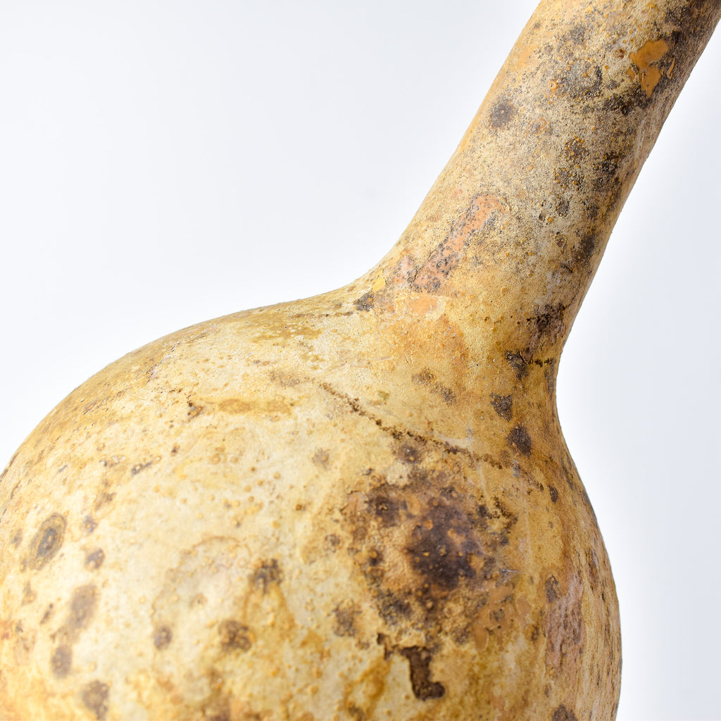 Calabash Shaker Gourd Asante Nigeria