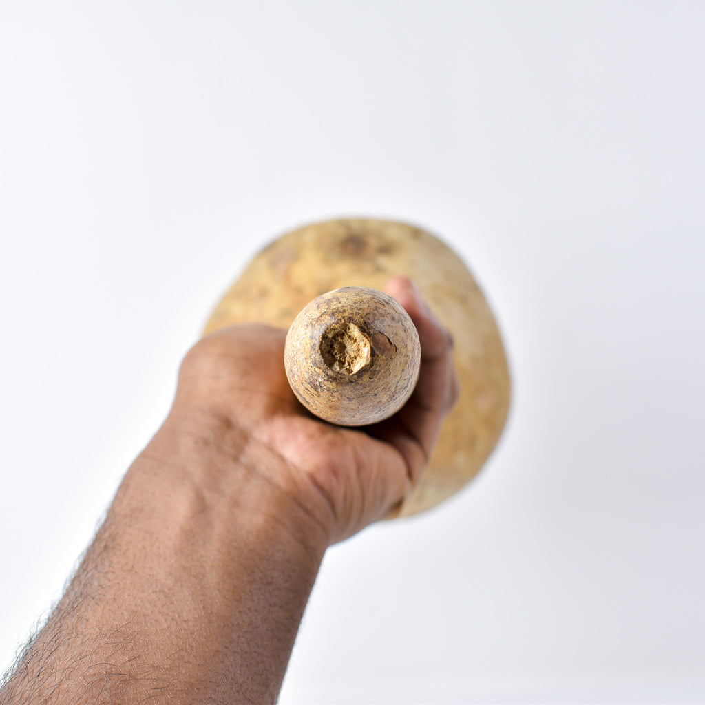 Calabash Shaker Gourd Asante Nigeria