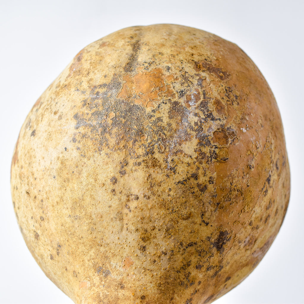 Calabash Shaker Gourd Asante Nigeria