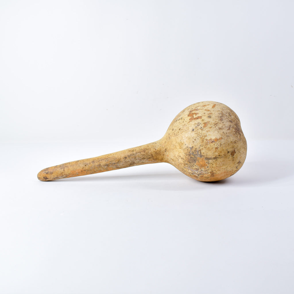 Calabash Shaker Gourd Asante Nigeria