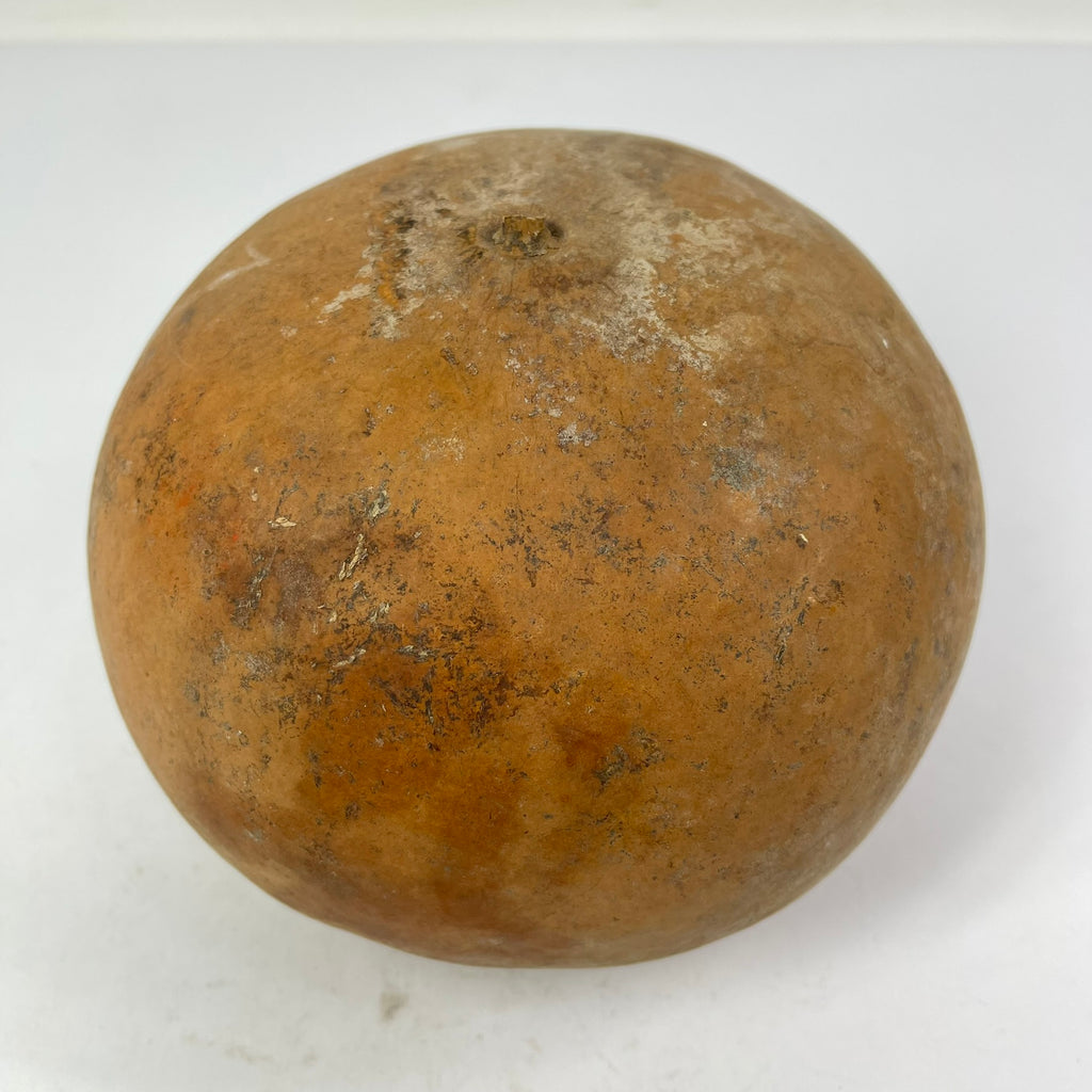 Calabash Gourd Shaker Nigeria