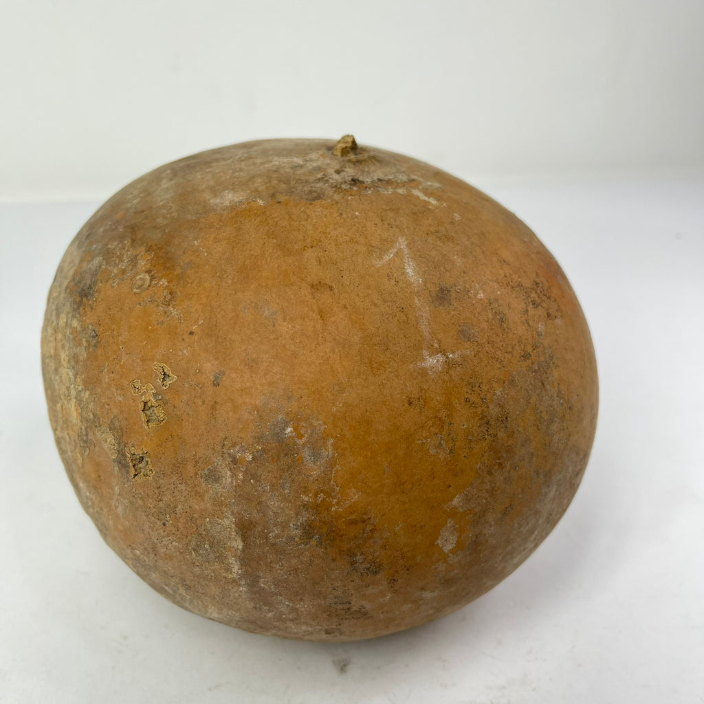 Calabash Gourd Shaker Nigeria