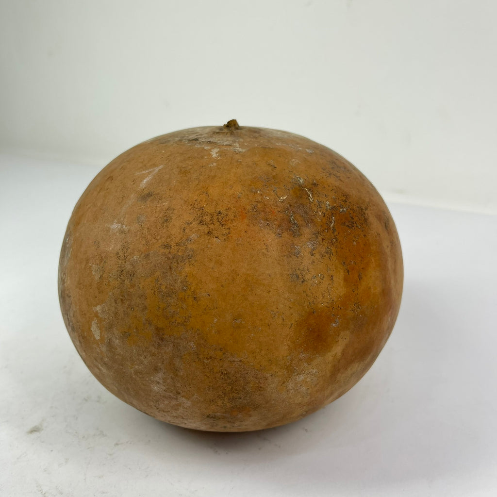 Calabash Gourd Shaker Nigeria