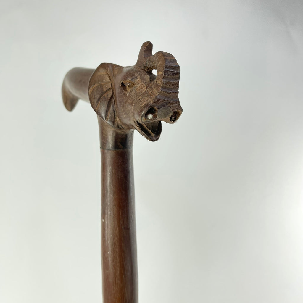 African Elephant Cane Walking Stick