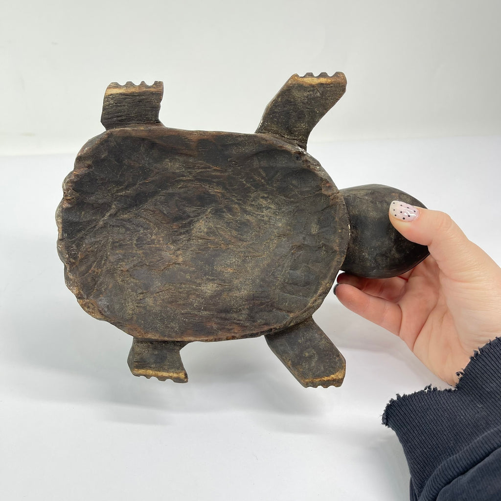 Lega Divination Turtle Congo