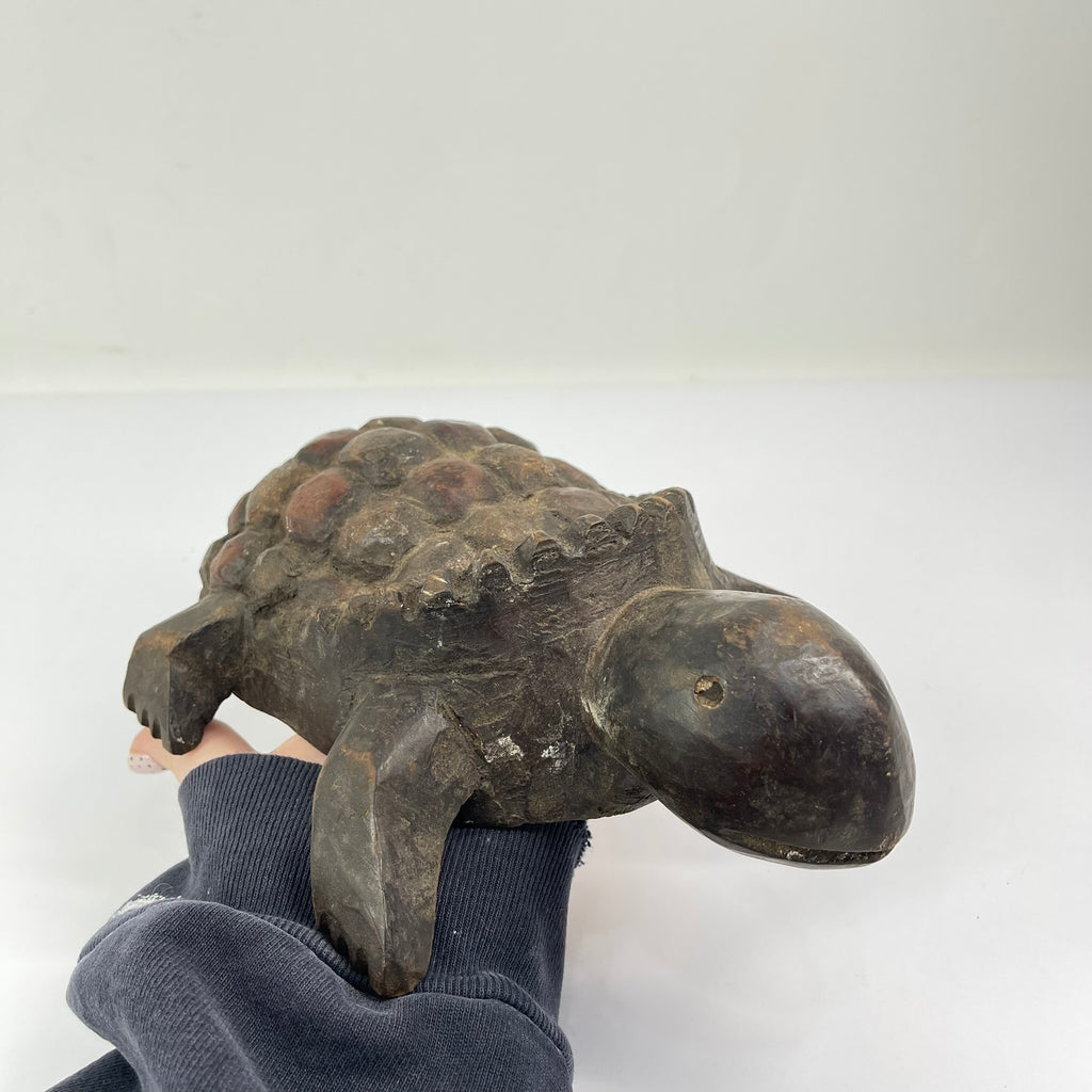 Lega Divination Turtle Congo
