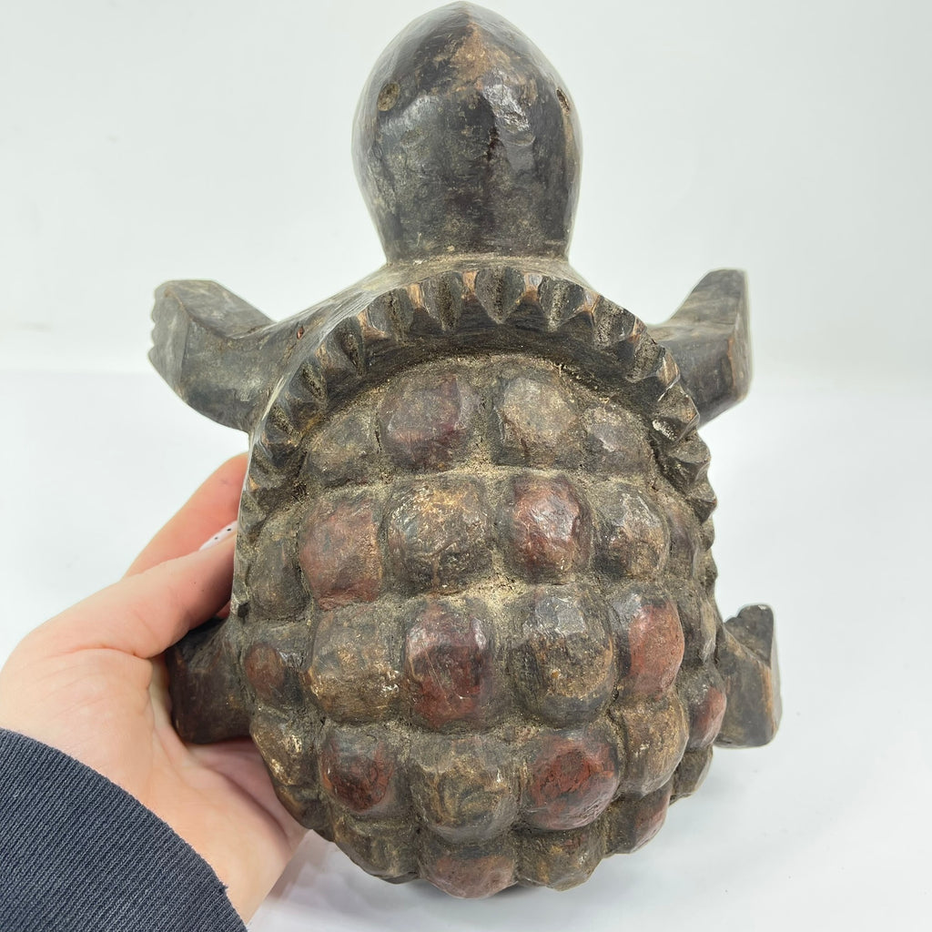 Lega Divination Turtle Congo