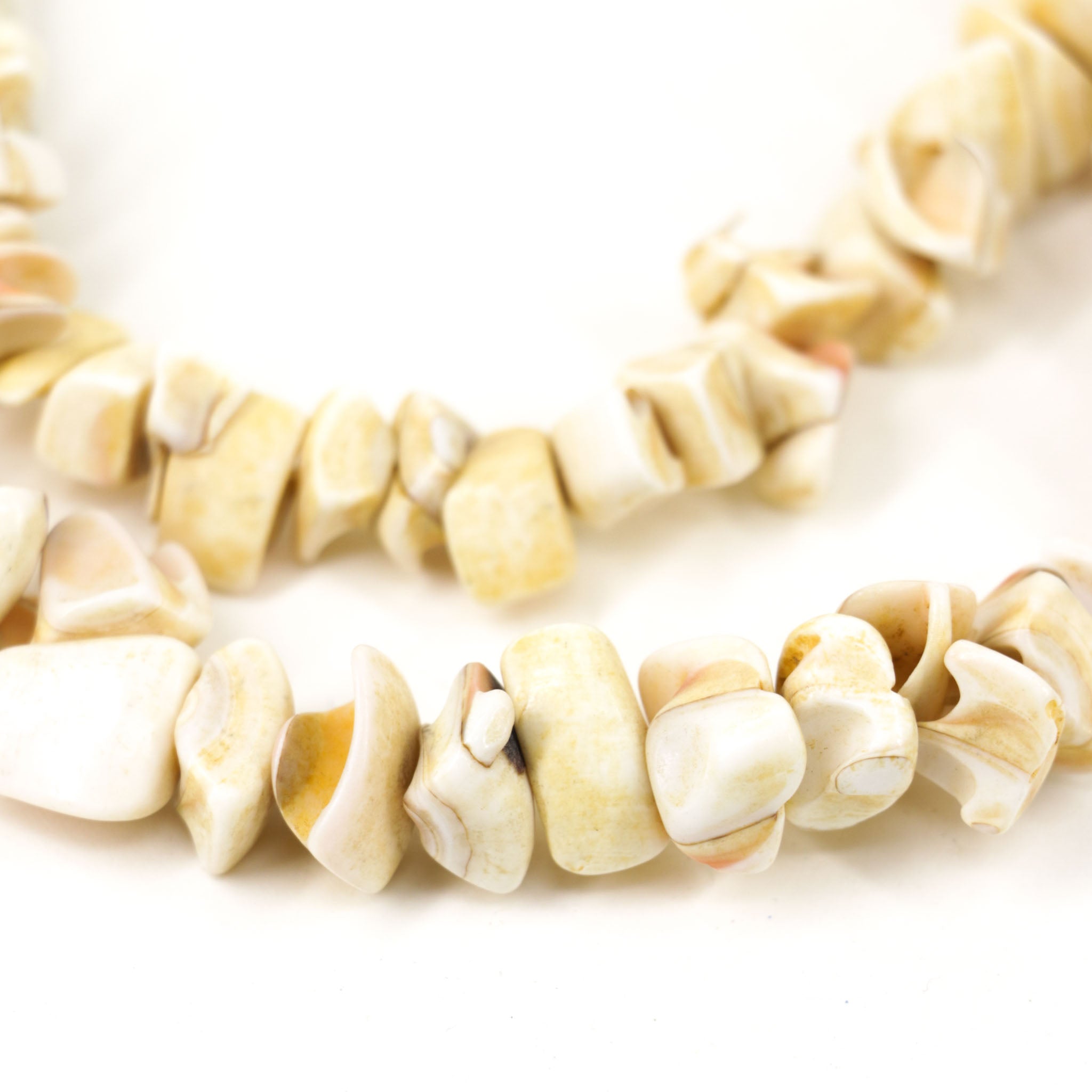 Conus Shell Beads 