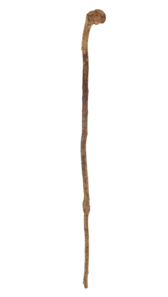 Zulu Knobkerrie Wood Walking Stick South Africa Dori Collection