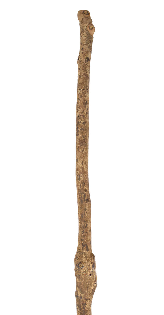 Zulu Knobkerrie Wood Walking Stick South Africa Dori Collection