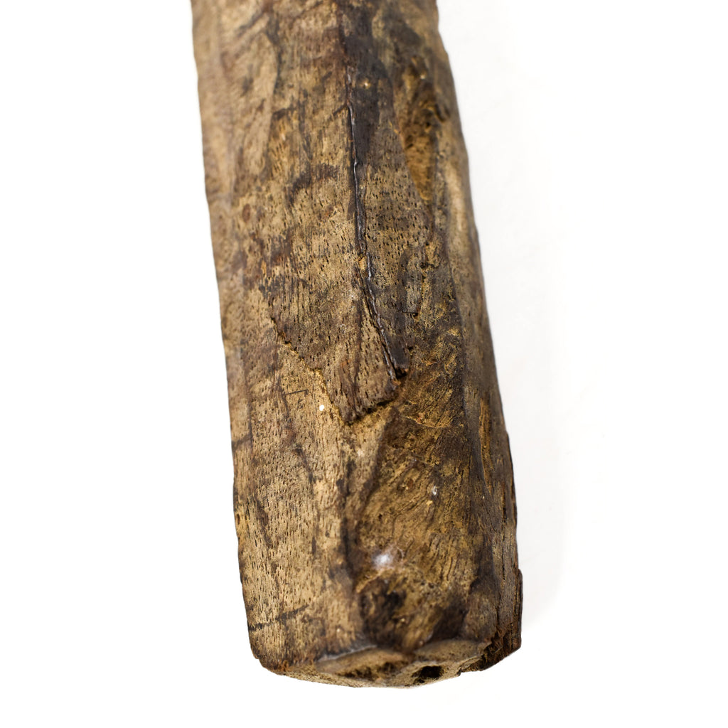 Dogon Ceremonial Ladder Mali