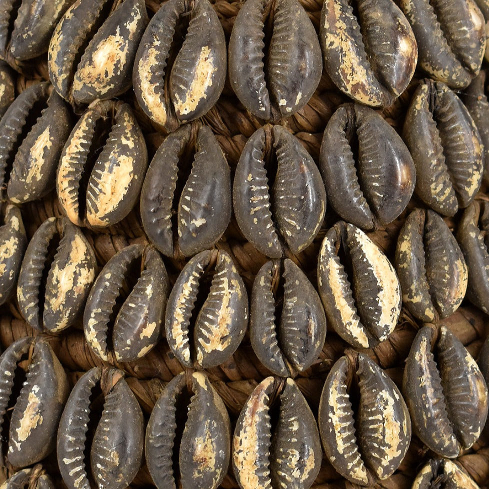 Lega Bwami Society Hat with Shells Congo